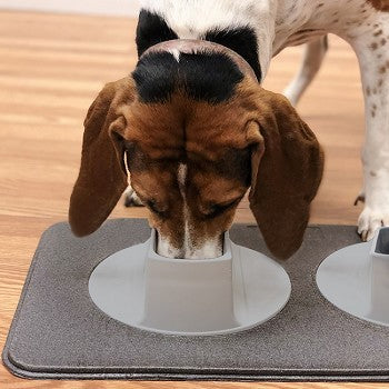 Ear-Clear — Pet Feeding Station - Gizesis